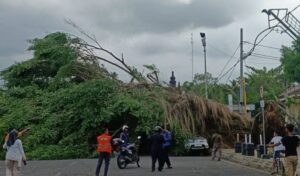 645561793_937914265406593_7161243541809586846_n