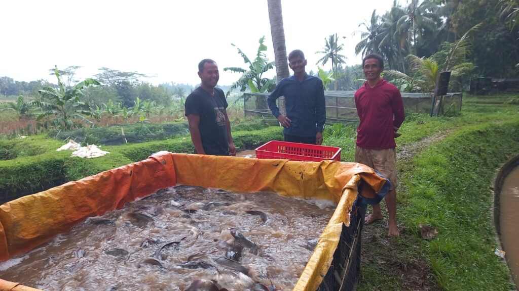 WhatsApp Image 2026-03-07 at 17.29.51