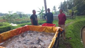 WhatsApp Image 2026-03-07 at 17.29.51