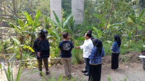 IMG-20260617-WA0003