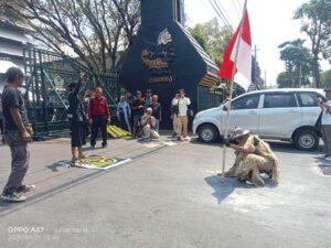 IMG-20260901-WA0052